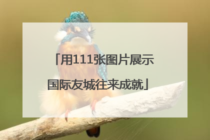 用111张图片展示国际友城往来成就