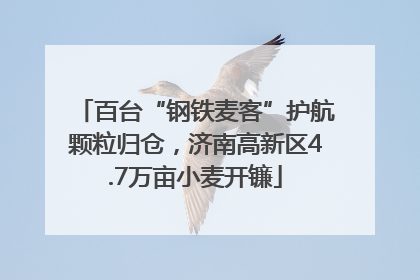 百台“钢铁麦客”护航颗粒归仓，济南高新区4.7万亩小麦开镰