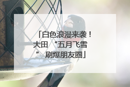 白色浪漫来袭！大田 “五月飞雪” 刷爆朋友圈