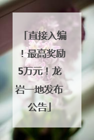直接入编！最高奖励5万元！龙岩一地发布公告