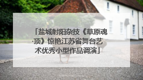 盐城射阳杂技《草原魂·顶》惊艳江苏省舞台艺术优秀小型作品调演