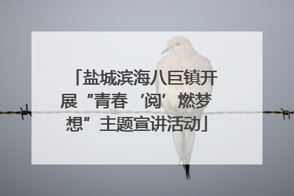 盐城滨海八巨镇开展“青春‘阅’燃梦想”主题宣讲活动