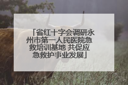 省红十字会调研永州市第一人民医院急救培训基地 共促应急救护事业发展