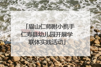 眉山仁师附小携手仁寿县幼儿园开展学联体实践活动