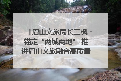 眉山文旅局长王枫：锚定“两城两地” 推进眉山文旅融合高质量发展｜文旅局长说