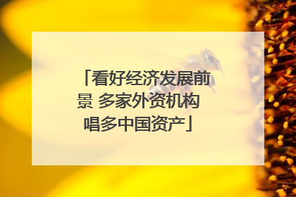 看好经济发展前景 多家外资机构唱多中国资产