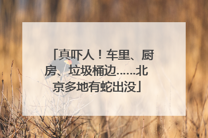 真吓人！车里、厨房、垃圾桶边……北京多地有蛇出没