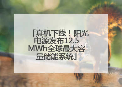 真机下线！阳光电源发布12.5MWh全球最大容量储能系统