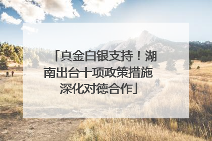 真金白银支持！湖南出台十项政策措施深化对德合作
