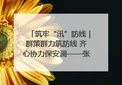 筑牢“汛”防线｜群策群力筑防线 齐心协力保安澜——张家界高新区上下众志成城迎战汛情
