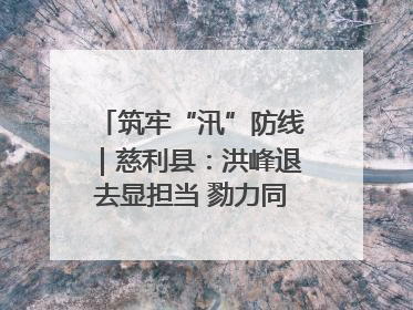 筑牢“汛”防线｜慈利县：洪峰退去显担当 勠力同心启新篇