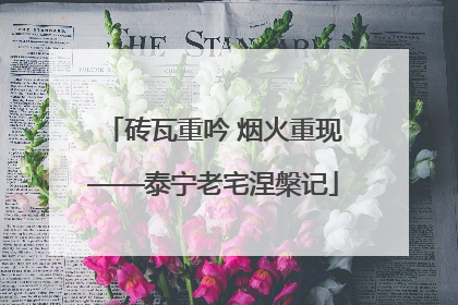 砖瓦重吟 烟火重现——泰宁老宅涅槃记