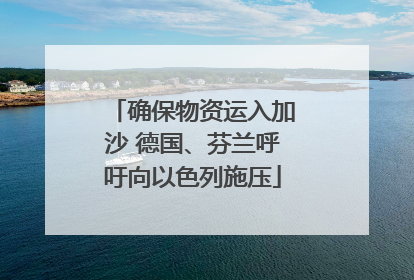 确保物资运入加沙 德国、芬兰呼吁向以色列施压