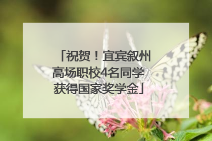 祝贺！宜宾叙州高场职校4名同学获得国家奖学金