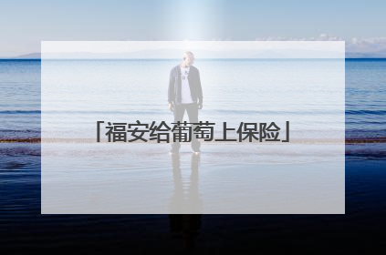 福安给葡萄上保险