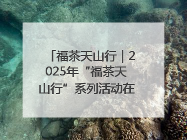 福茶天山行｜2025年“福茶天山行”系列活动在昌吉州启动
