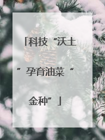 科技“沃土”孕育油菜“金种”