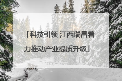 科技引领 江西瑞昌着力推动产业提质升级