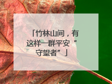 竹林山间，有这样一群平安“守望者”