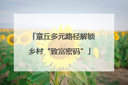 章丘多元路径解锁乡村“致富密码”