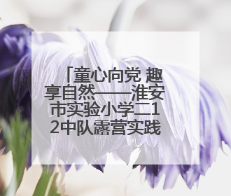 童心向党 趣享自然——淮安市实验小学二12中队露营实践活动