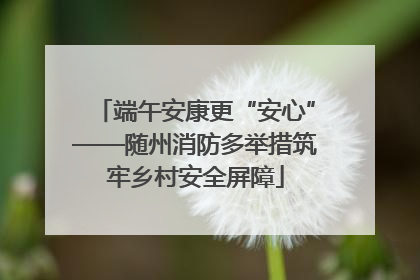 端午安康更“安心”——随州消防多举措筑牢乡村安全屏障