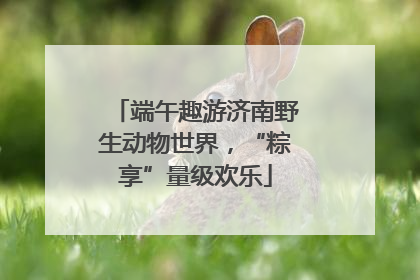 端午趣游济南野生动物世界，“粽享”量级欢乐