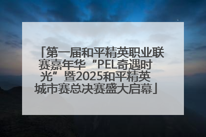 第一届和平精英职业联赛嘉年华“PEL奇遇时光”暨2025和平精英城市赛总决赛盛大启幕