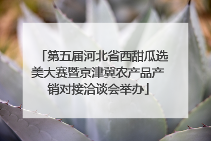 第五届河北省西甜瓜选美大赛暨京津冀农产品产销对接洽谈会举办