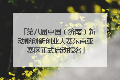 第八届中国（济南）新动能创新创业大赛东南亚赛区正式启动报名