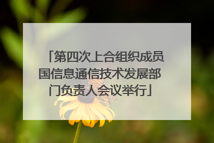 第四次上合组织成员国信息通信技术发展部门负责人会议举行