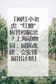 网红小老虎“红糖”将暂停展出？上海动物园：展区改建，会安排展出计划