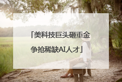 美科技巨头砸重金争抢稀缺AI人才