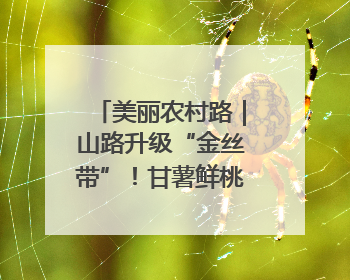 美丽农村路｜山路升级“金丝带”！甘薯鲜桃坐上“快车”，开去大市场