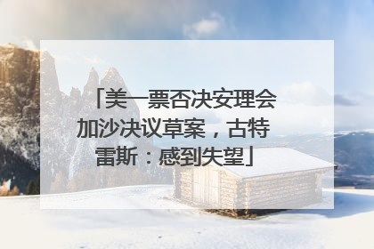 美一票否决安理会加沙决议草案，古特雷斯：感到失望