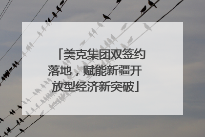 美克集团双签约落地，赋能新疆开放型经济新突破