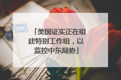 美国证实正在组建特别工作组，以监控中东局势