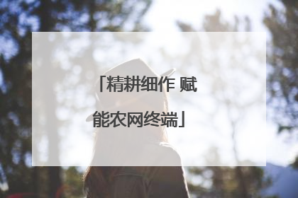 精耕细作 赋能农网终端
