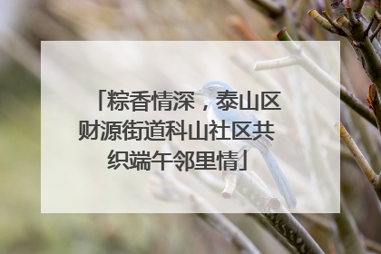 粽香情深，泰山区财源街道科山社区共织端午邻里情