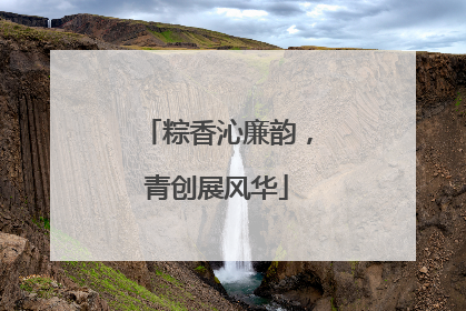 粽香沁廉韵，青创展风华