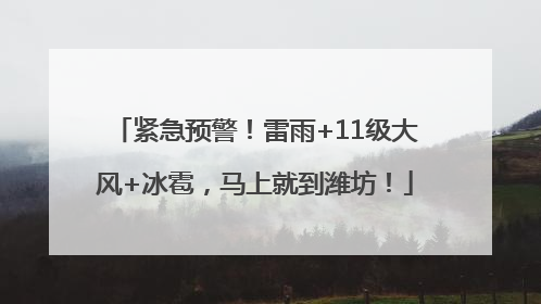 紧急预警！雷雨+11级大风+冰雹，马上就到潍坊！