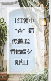 红领巾“杏”福传递 粽香情暖夕阳红