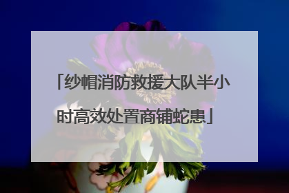 纱帽消防救援大队半小时高效处置商铺蛇患