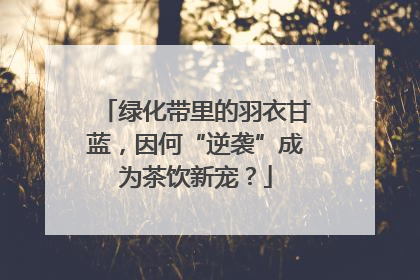 绿化带里的羽衣甘蓝，因何“逆袭”成为茶饮新宠？