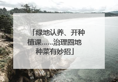 绿地认养、开种植课……治理圈地种菜有妙招