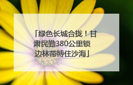 绿色长城合拢！甘肃民勤380公里锁边林带缚住沙海