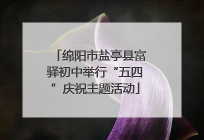 绵阳市盐亭县富驿初中举行“五四”庆祝主题活动