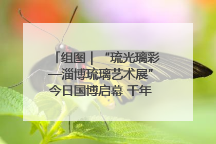 组图｜“琉光璃彩—淄博琉璃艺术展”今日国博启幕 千年窑火绽放京城