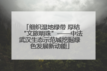 细织湿地绿带 厚结“文旅明珠”——中法武汉生态示范城挖掘绿色发展新动能