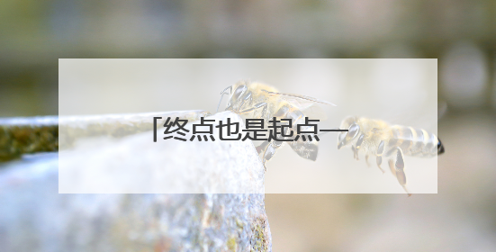 终点也是起点——专访浙江广厦男篮主教练王博